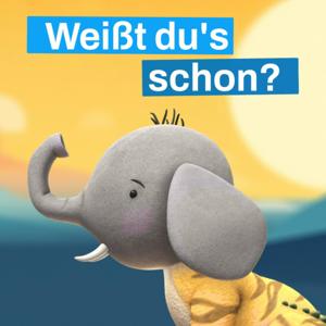 Weißt du's schon? - Das Wissens-Quiz für Kids by Christian Conradi