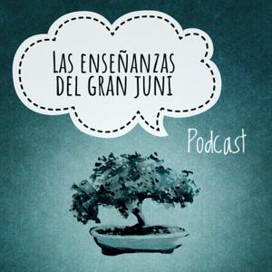 Las enseñanzas del GRAN Juni
