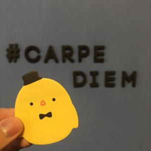 每一天都是奇蹟小雞