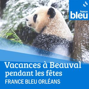 Vacances à Beauval