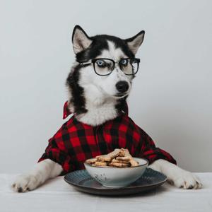 Husky Bites