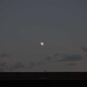 ¿Qué son los startups? - Esteban Navia