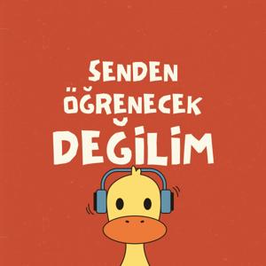 Senden Öğrenecek Değilim