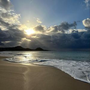 放學後的bond pair