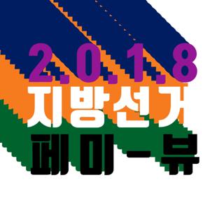 페미뷰 [2018 지방선거]