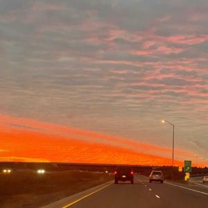 Reparations: a Case for Canada