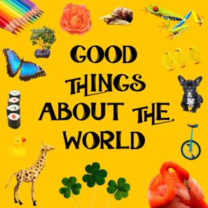 Good Things About the World