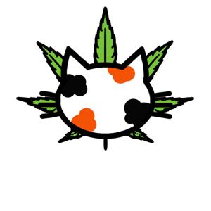 D&D With The Weed Cats