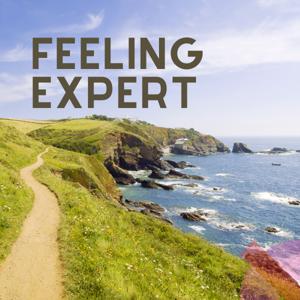 Feeling Expert