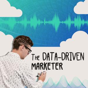 The Data-Driven Marketer