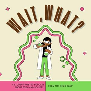 Wait, What? A Podcast from the GEMS Camp