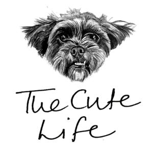 The Cute Life