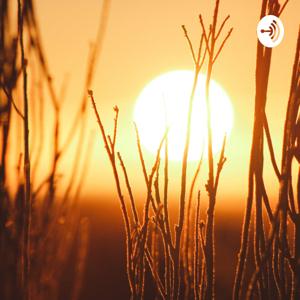 A La Lumiere De La Parole - Podcast Chrétien