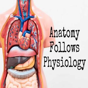 Anatomy Follows Physiology