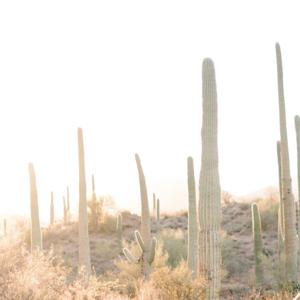 Why We Need More School Psychologists