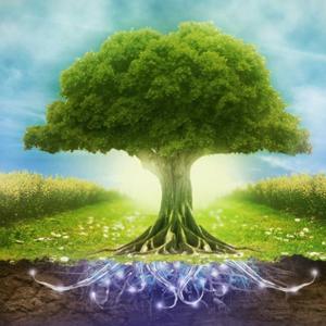 Cultivating Human Potential