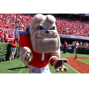 Dance Dawgs!