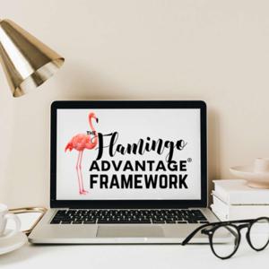 The Flamingo Advantage Framework