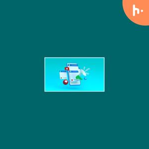 Bhash SMS Review
