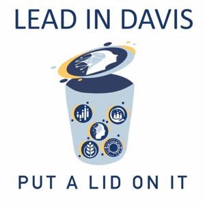 Put a LID on It
