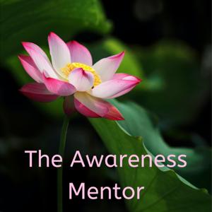 The Awareness Mentor