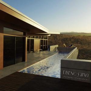 DISEnO Artistic Realm