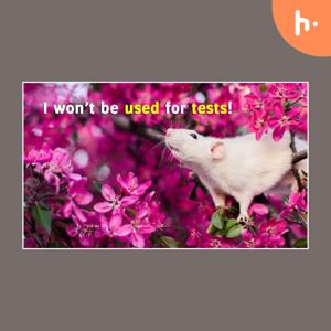 Stop killing Animals