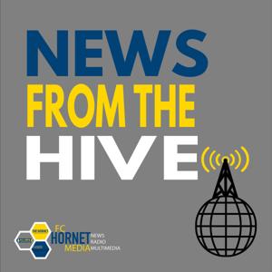 News From The Hive