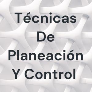 Técnicas De Planeación Y Control
