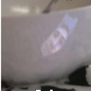 The Literally Epic Podcast