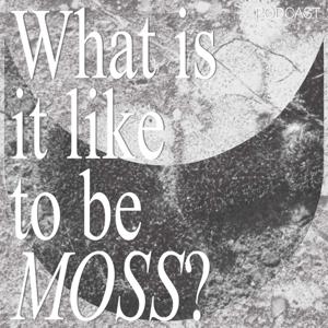What is it like to be MOSS?