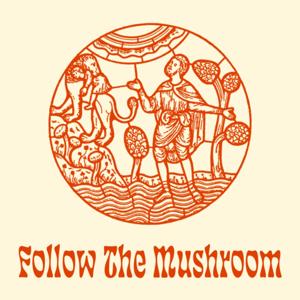 Follow The Mushroom