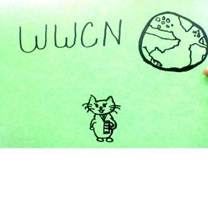 WWCN (World Wide Cat News)