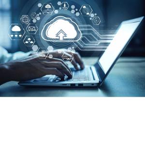 GESTION BASICA DE LA INFORMACION