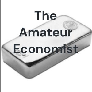 The Amateur Economist