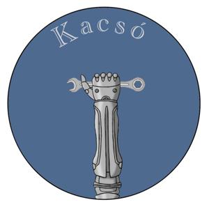 A Kibernetikai Kacsó Kreálók interjúi