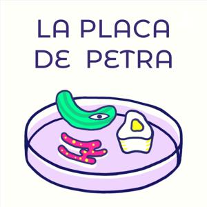 La Placa de Petra