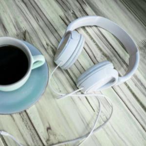 Peace in Action: Mindfulness Skills for a Divided World