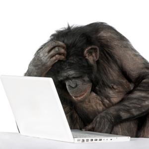 Ciberseguridad para humanos