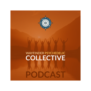 The Psychedelic Wayfinder