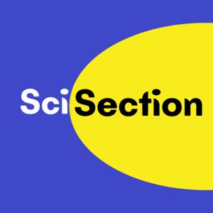 SciSection