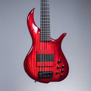 The Bassist's Guide to Ear Training