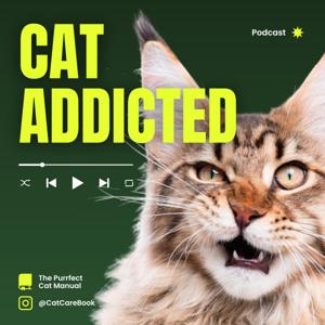 Cat Addicted