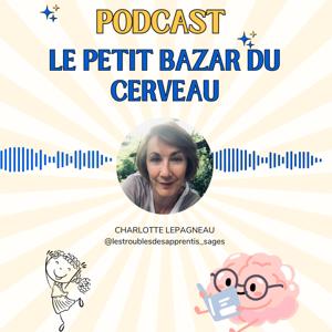 Le Petit Bazar du Cerveau