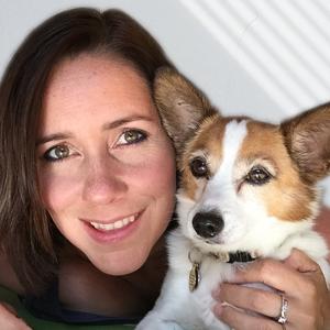 The WildPaw Dog Podcast with Karen Wild, CCAB