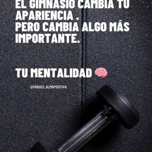 El Gimnasio Si Importa 2AM I.A