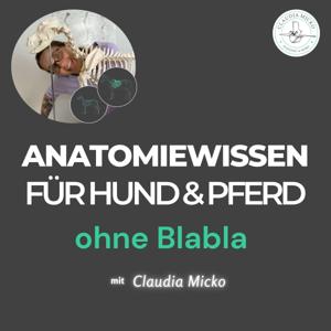 Anatomiewissen für Hund & Pferd – ohne Blabla