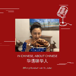 IN Chinese, About Chinese 华语聊华人