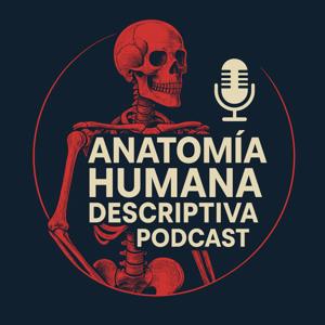 Anatomia humana para principiantes