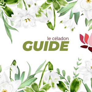 Guide Le Céladon Cadeaux & Bien-être